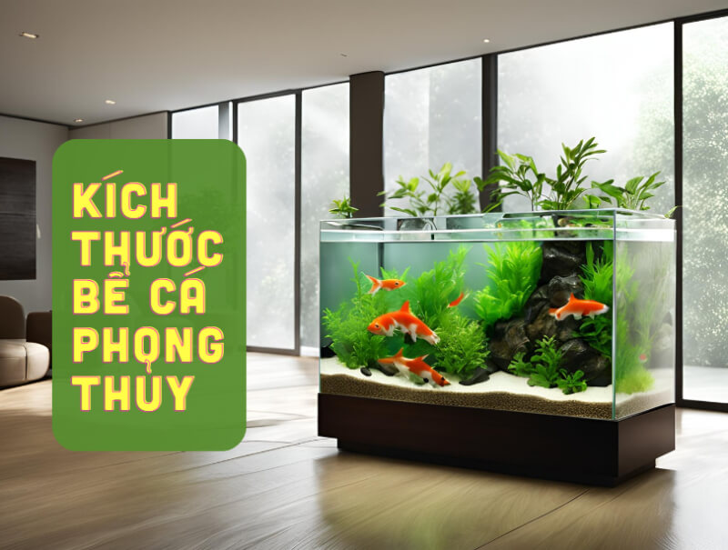 kích thước bể cá phong thủy