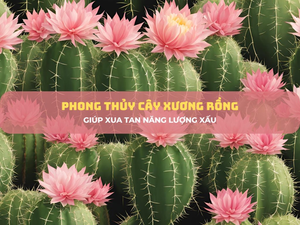 phong-thuy-cay-xuong-rong-1