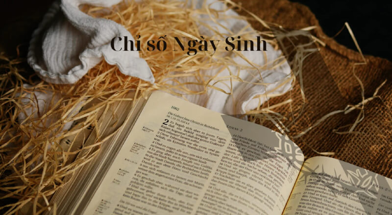 Chỉ số Ngày sinh