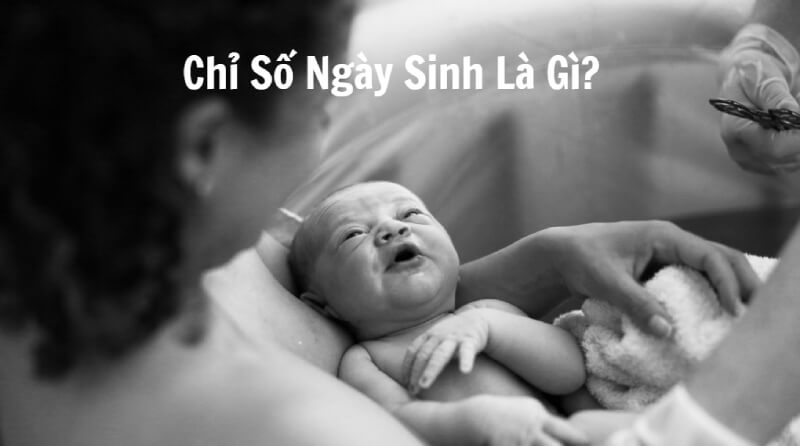 Chỉ số Ngày sinh