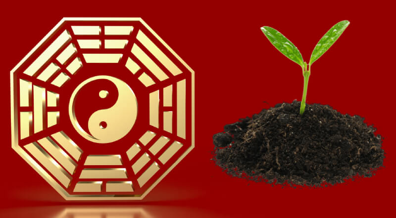 Chọn đất xem nhà