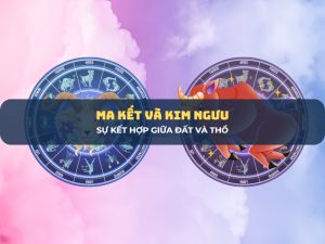 ma kết và kim ngưu 1