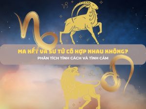ma kết và sư tử 1