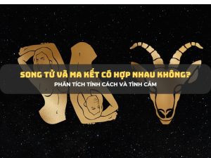 song tử và ma kết 1