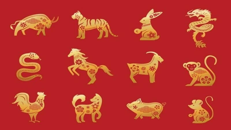 Tử vi kiến thức