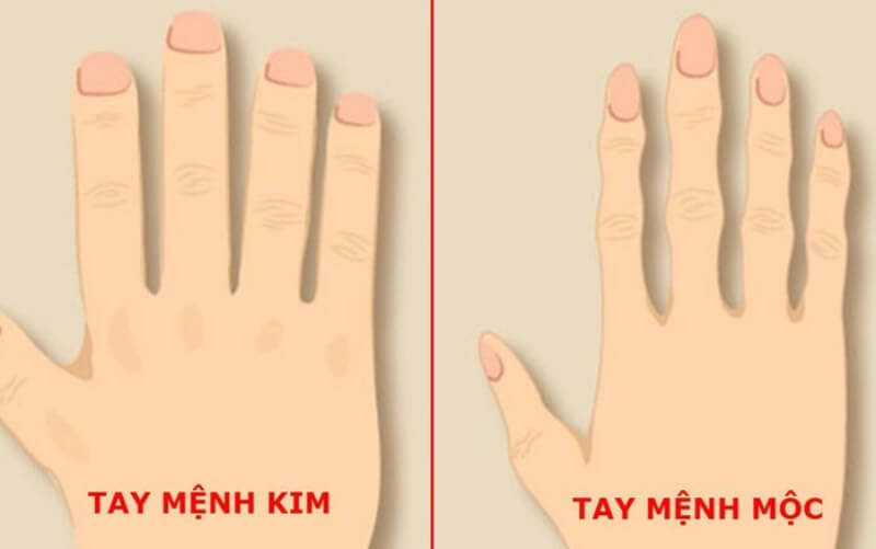 xem tướng qua bàn tay​