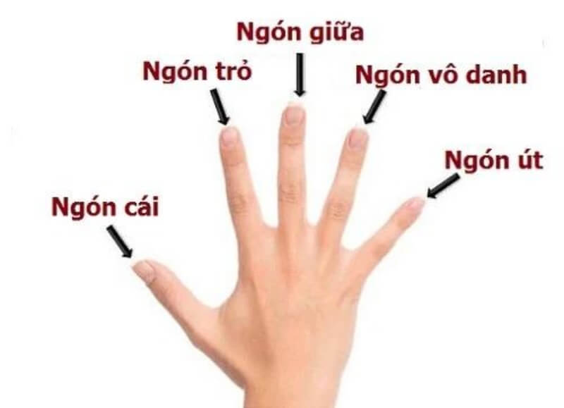 xem tướng bàn tay​