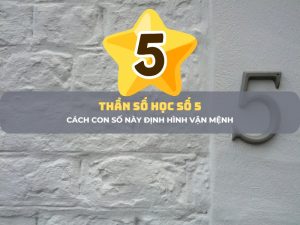 thần số học số 5 - ảnh 1