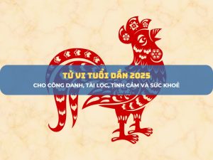 Tử vi tuổi Dậu 2025 1