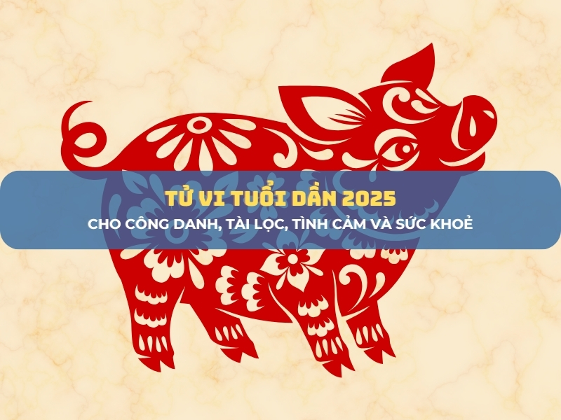 Tử vi tuổi Hợi 2025 1
