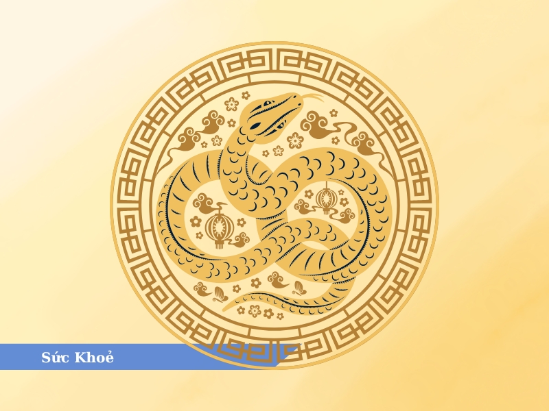 Tử vi tuổi Tỵ 2025 4
