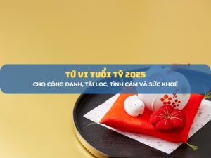 tử vi tuổi tý 2025 1